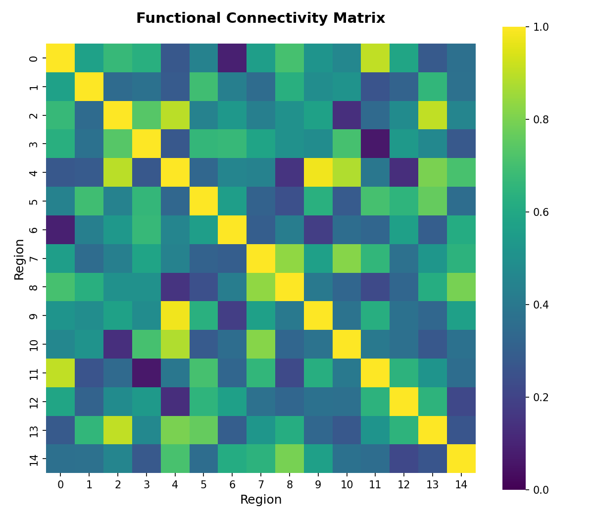 Brain region connectivity matrix shown as a symmetric square heatmap with colour-coded pairwise correlation values and brain region labels on both axes