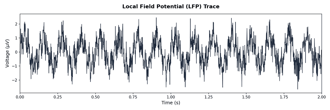 Local field potential trace showing a continuous voltage waveform over time with oscillatory activity and clearly labelled amplitude and time axes