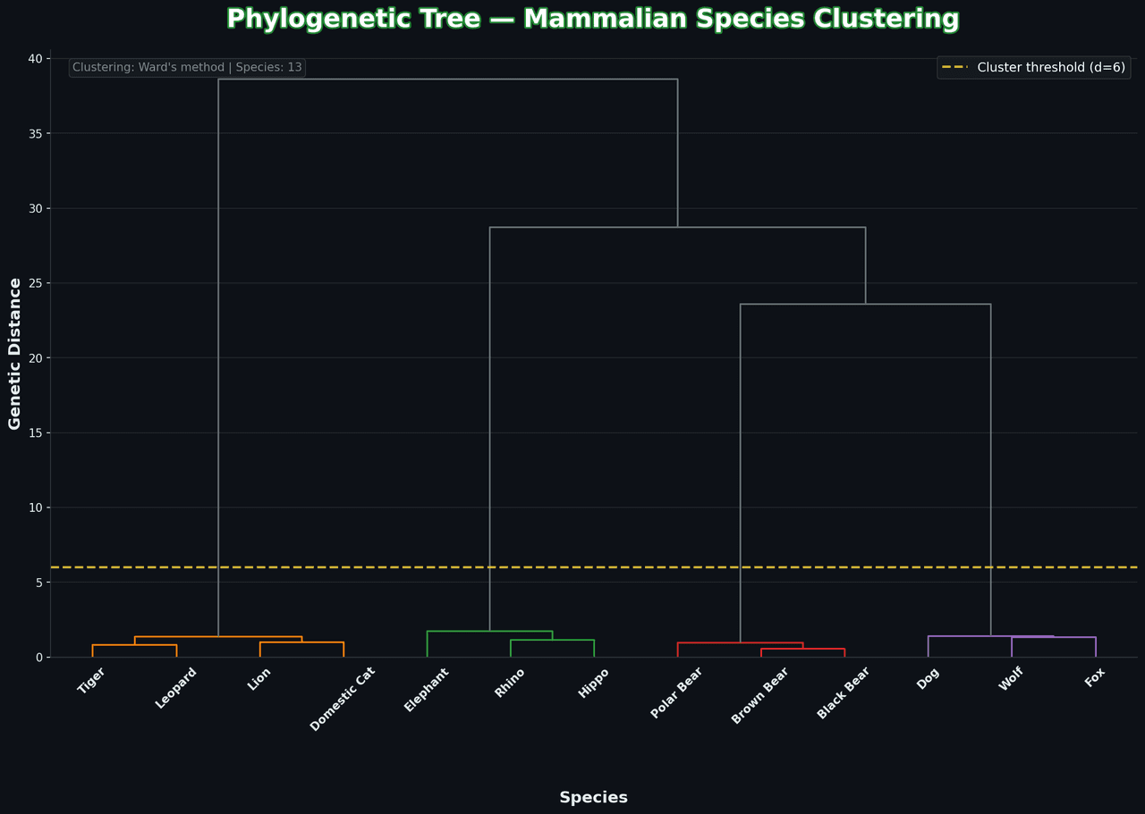 Dendrogram showing hierarchical clustering of species