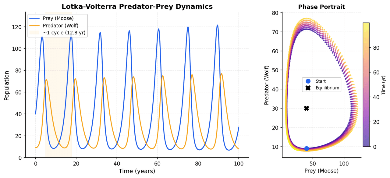 Population dynamics of a predator-prey system