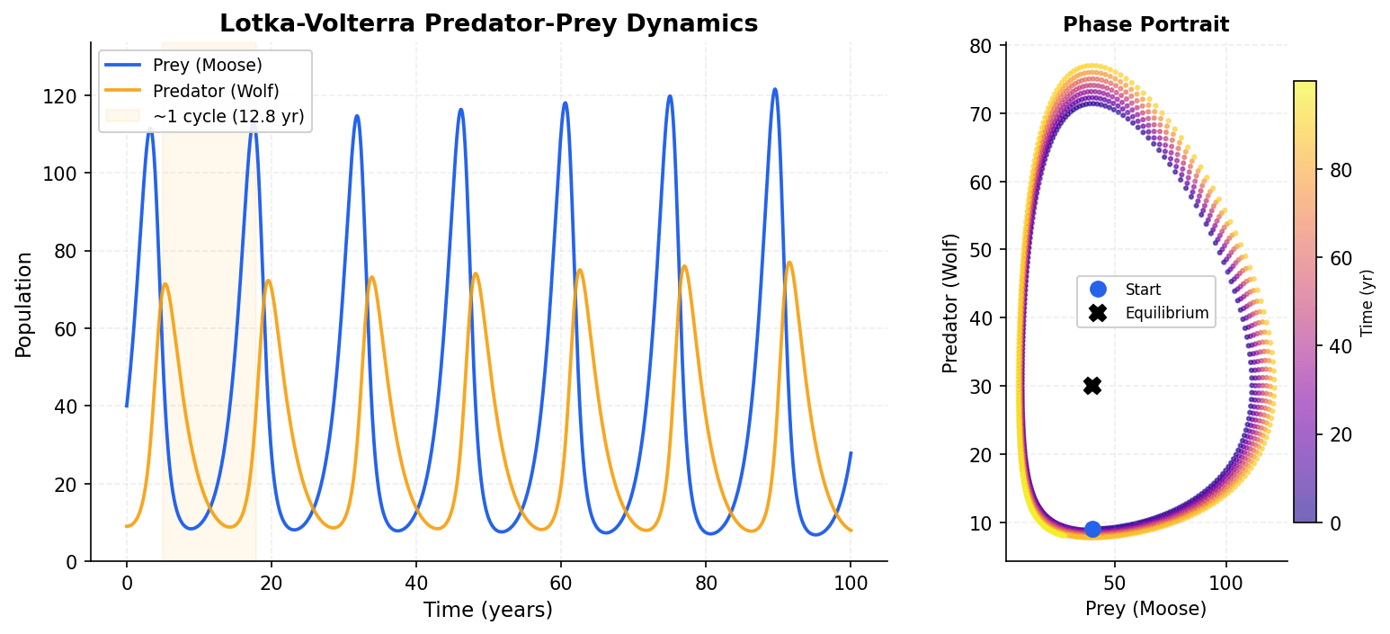 Population dynamics of a predator-prey system