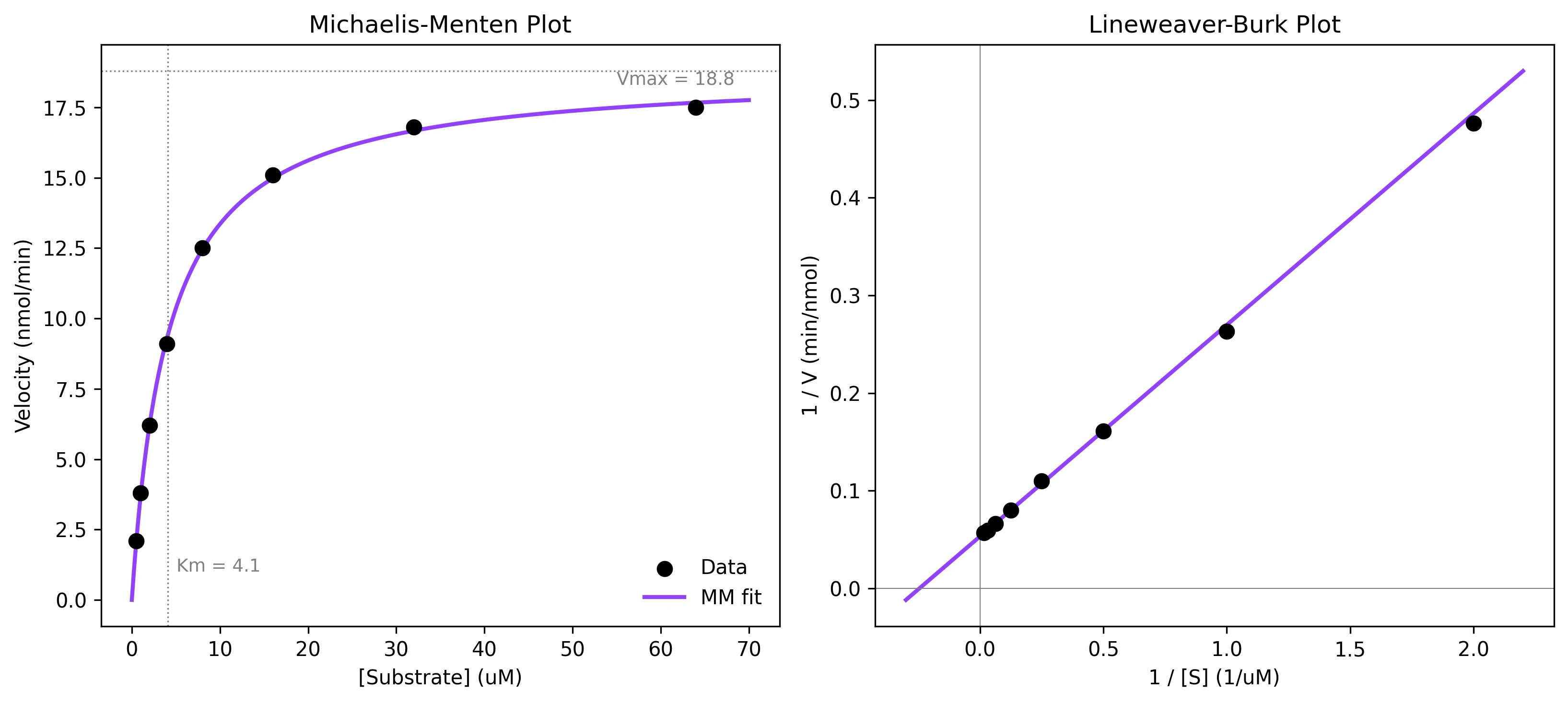 Michaelis-Menten Fitting in Python for Enzyme Kinetics thumbnail